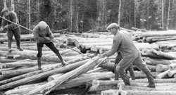 Bilder från förr i SKOGENbilds bildarkiv