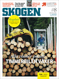 Du läser nu ett smakprov ur tidningen SKOGEN. Prova på 3 nummer för endast 99 kr, klicka här>>