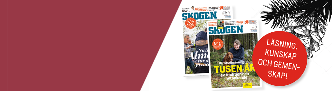 Ta kontakt med styrelsen!  Skogen
