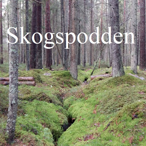 Skogspodden
