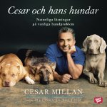 Cesar och hans hundar