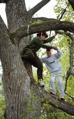En man och en pojke klättrar i ett stort träd.