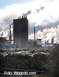 Skogsindustrin viktigast för folket