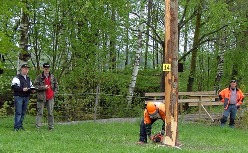 SM i skog avgjordes