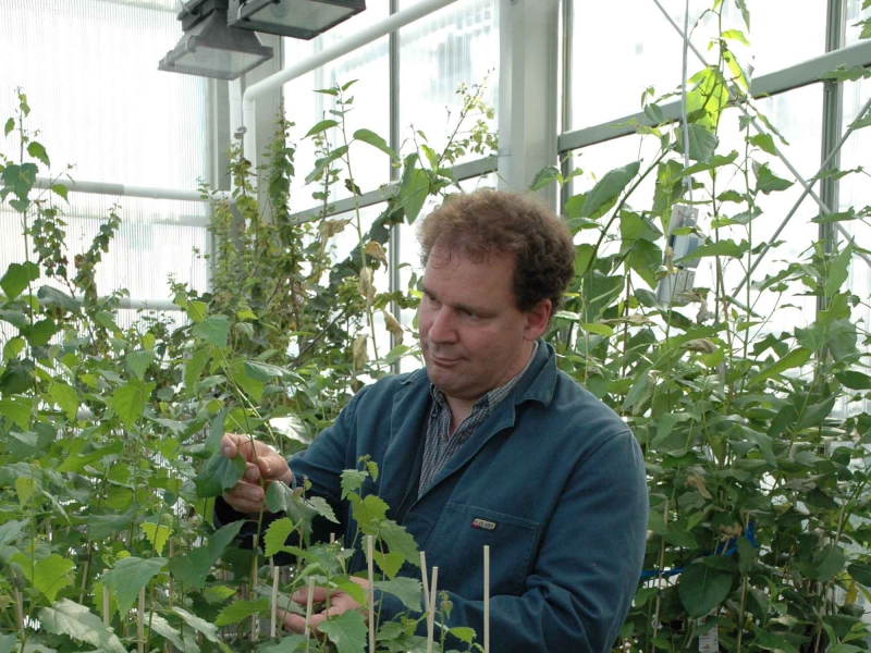 Skogens Nobelpris till Ove Nilsson, SLU, Umeå
