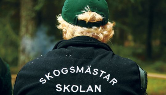 Utbildningsvägar inom skog & skogsindustrin