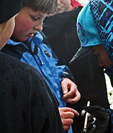 Borrkärna för bestämning av trädets ålder