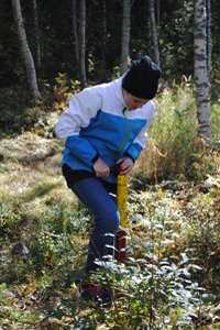 Grundskoleelev planterar träd i Umeå