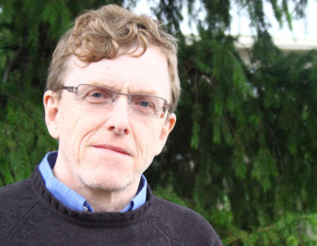 Will energy crops to replace forest seedlings?