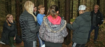 Skogens Mästare: antal träd per hektar