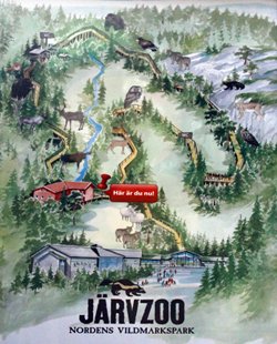 Järvzoo, Hälsingland