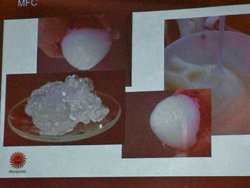 Anders Brolin, Stora Enso berättade om framtida produkter