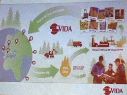 Sante Dahl, Vida: berättade om hur sågverken påverkats av stormfällning