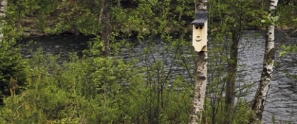 3 Idag kan du få tag i en fågelholk som är rena konstverket. Vill du gå ner i pris kan du göra en egen, kanske ett porträtt? – Foto: Karin Bernle Glad holk