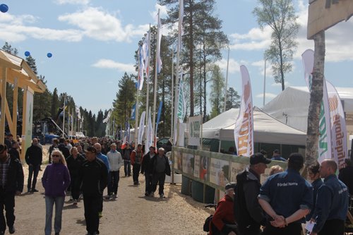 Tusentals besökare kom på #Skogsnolias första dag den 11/6 2015