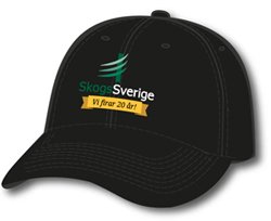 SkogsSverige firar 20 år under 2015