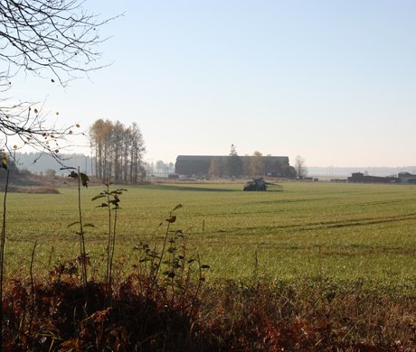 Åkern vid Ösby naturbruksgymnasium i Sala