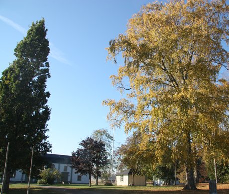 Huvudbyggnaden vid Ösby naturbruksgymnasium