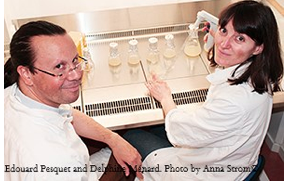 Nyupptäckta proteiner nyckel för att designa träd