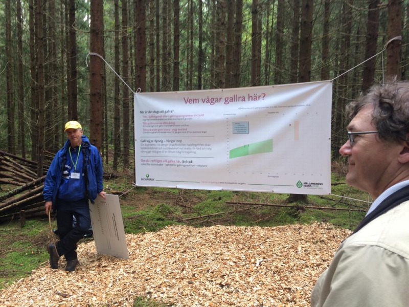 Forskning för hållbara skogar