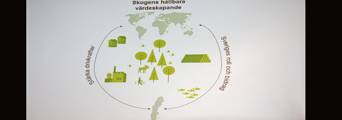 skogens-hallbara-vardeskapande