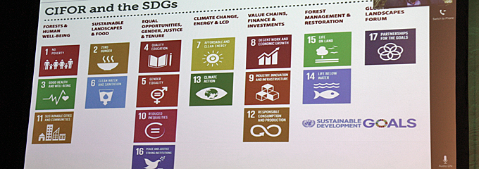 cifor-sdg