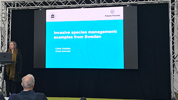 Så påverkar invasiva arter skogsmiljön