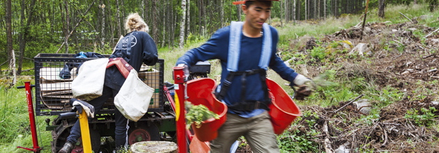 Sommarjobb visar vägen till skogen