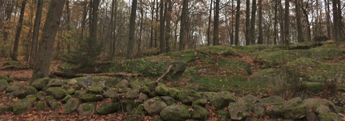 skatasskogen