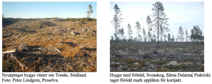 När de svenska skogarna försvann. En artikel av Peter Lindgren.