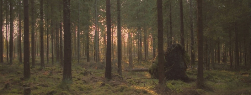 ”Politisk inkonsekvens utan motstycke”