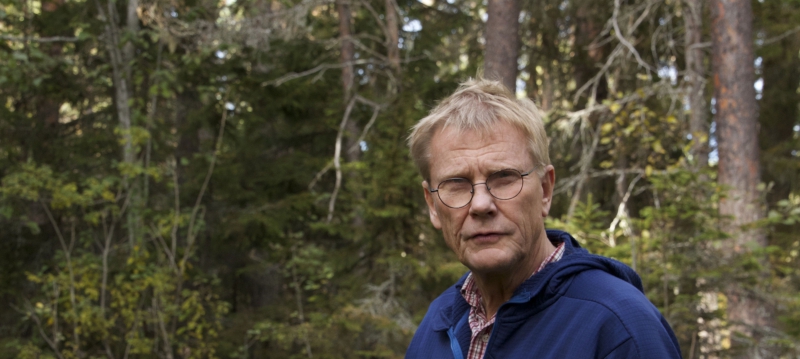 Ingen skogspolitik är också en skogspolitik