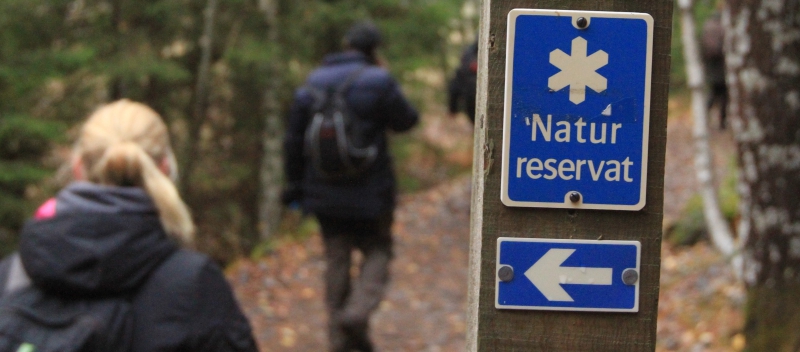 ”Andelen skyddad skog överdrivs”