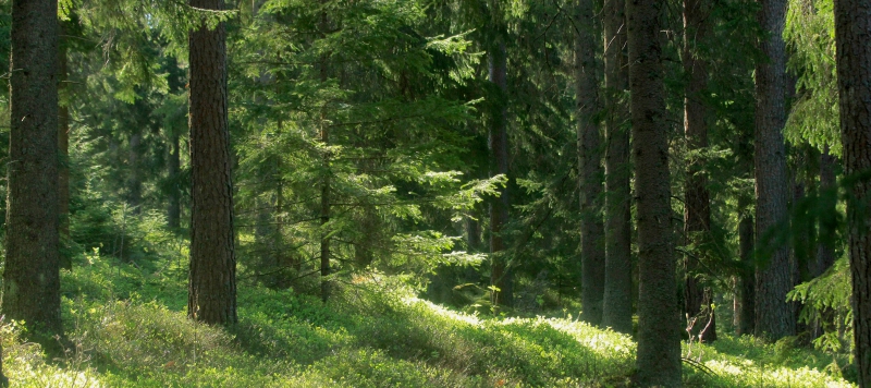 ”Det är beräkningsmodellen som slår fel”