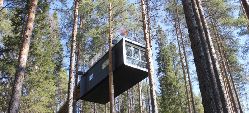 Trädhotell får pris för ekoturism