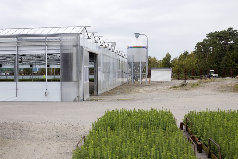 Plantskola snart fossilfri