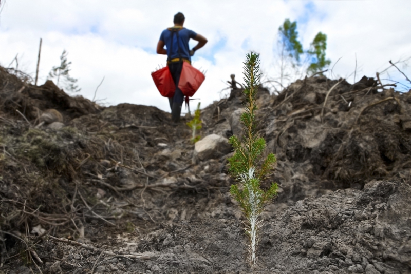 Allt fler väljer höstplantering