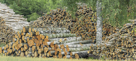 Skogsfond Baltikum ökar förvärvstakten