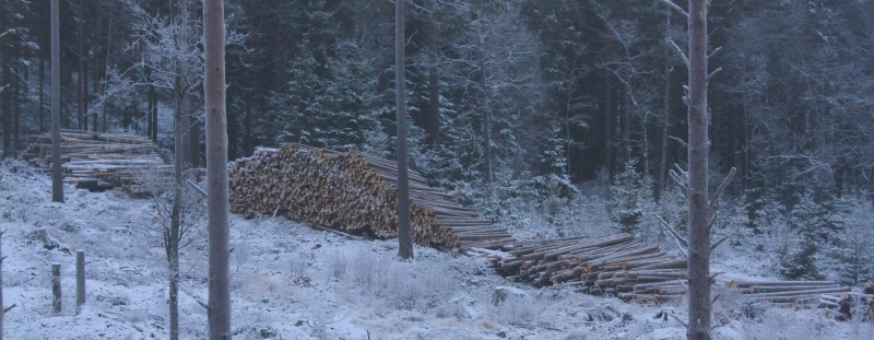 Bättre avlägg ger högre lönsamhet