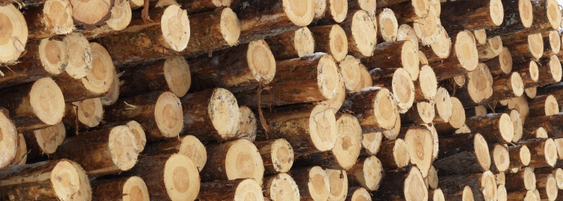 Vida köper klentimmersåg