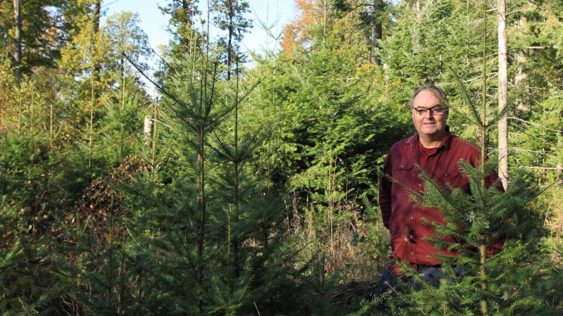 JA, vi behöver fler trädslag