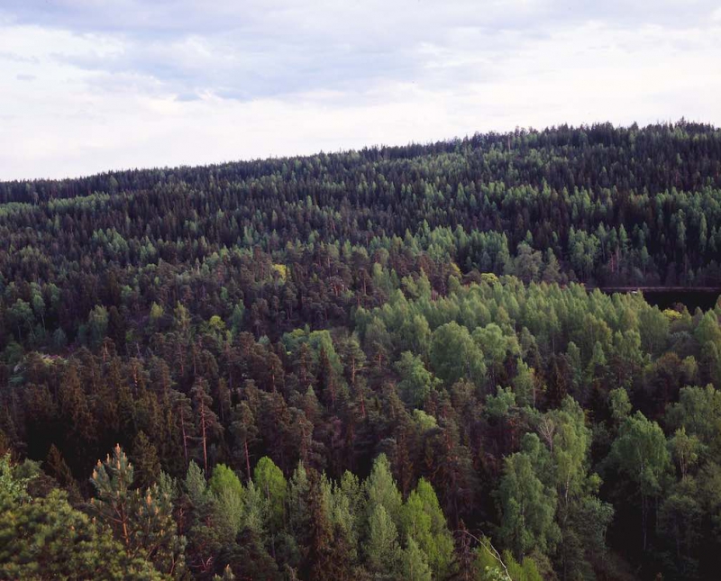 ”Hyggesfritt gör mig ändå skeptisk”