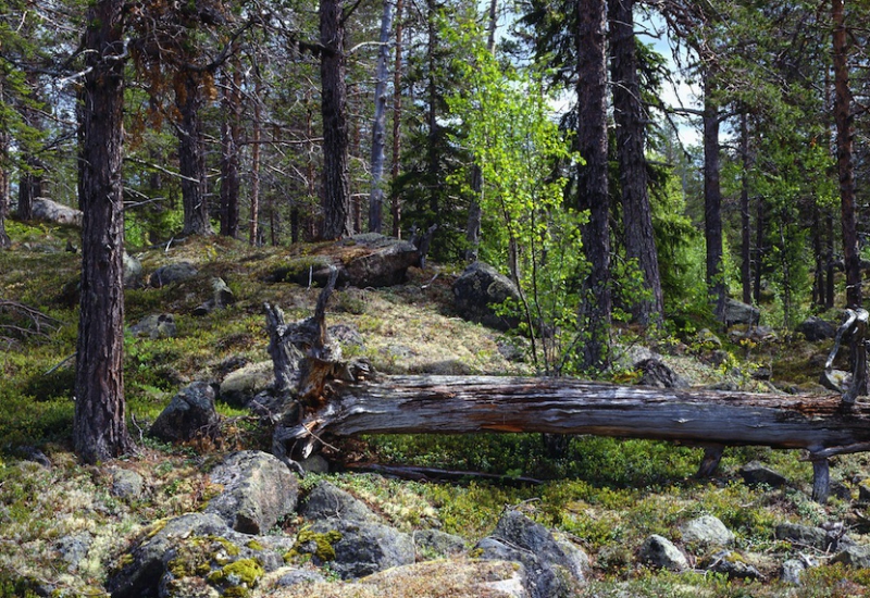 ”Vi ser en generation framåt”