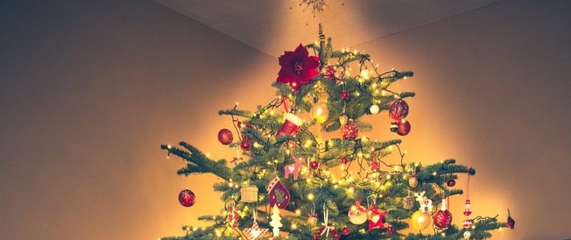 Snart kan du köpa en Skogis-gran