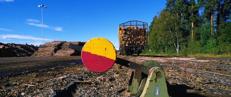 Järnvägarna som försvinner ner i myren