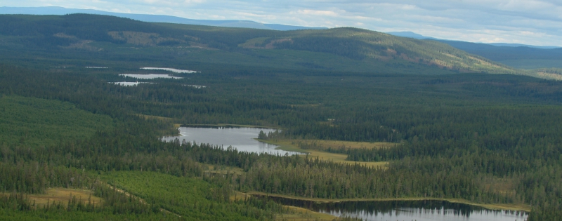 Fjällnäradomarna överklagas