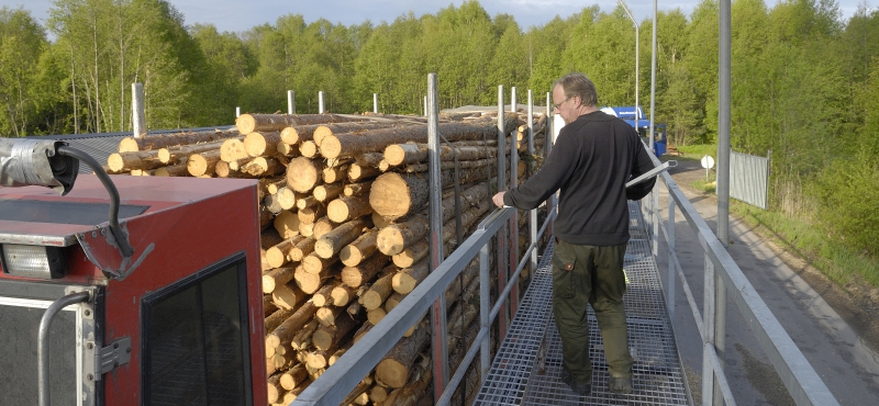 Virkesmätningsföreningar går samman