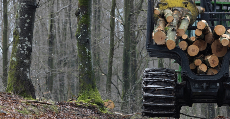 ”Fokusera på stenkol, olja och cement”