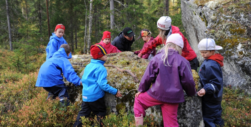 Låt bioekonomin gro i skolskogarna