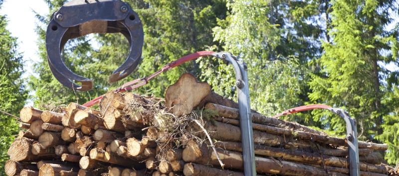 ”Berätta om statistikens brister”